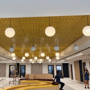 marwah-studio-bl-interiors-project2