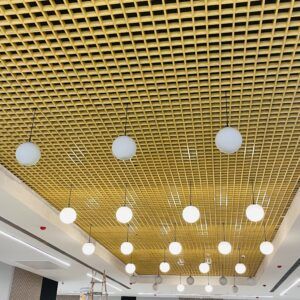 marwah-studio-bl-interiors-project7