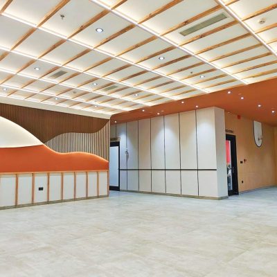 bl-interior-designer-basement-project